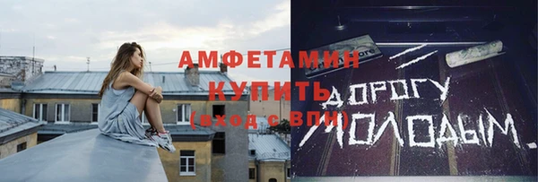 гидра Горняк