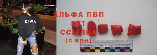 гидра Горняк