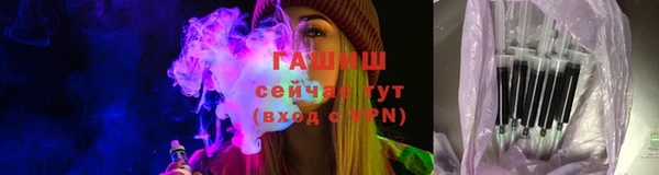 гидра Горняк