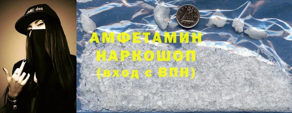 гидра Горняк