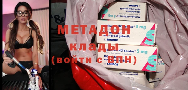 гидра Горняк