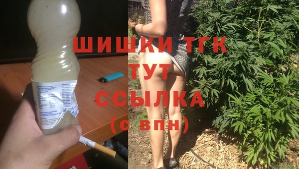 гидра Горняк
