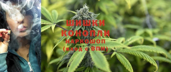 гидра Горняк