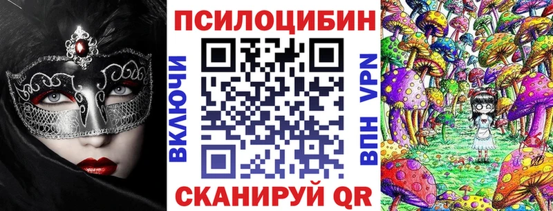 Купить  Кизилюрт  Псилоцибиновые грибы прущие грибы 